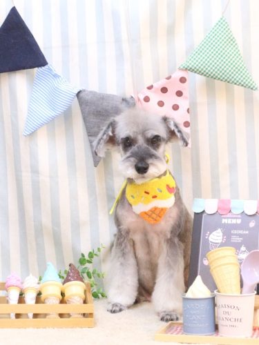 20250524ラーラちゃん